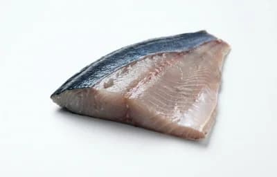 bluefish fillet