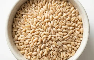 hard white wheat