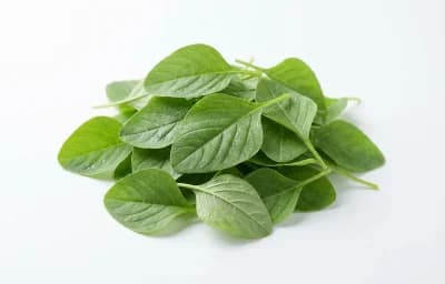 green amaranth leaves
