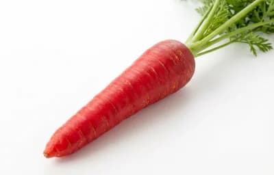 red carrot