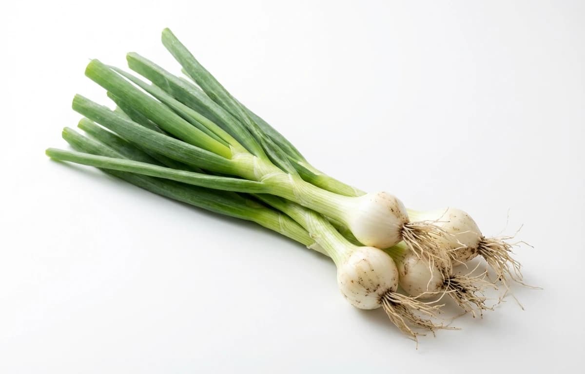 raw welsh onion