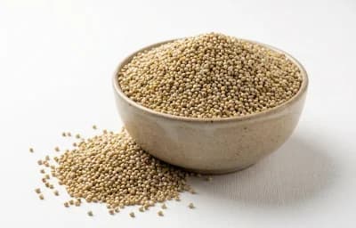 pearl millet