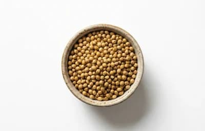 coriander seeds