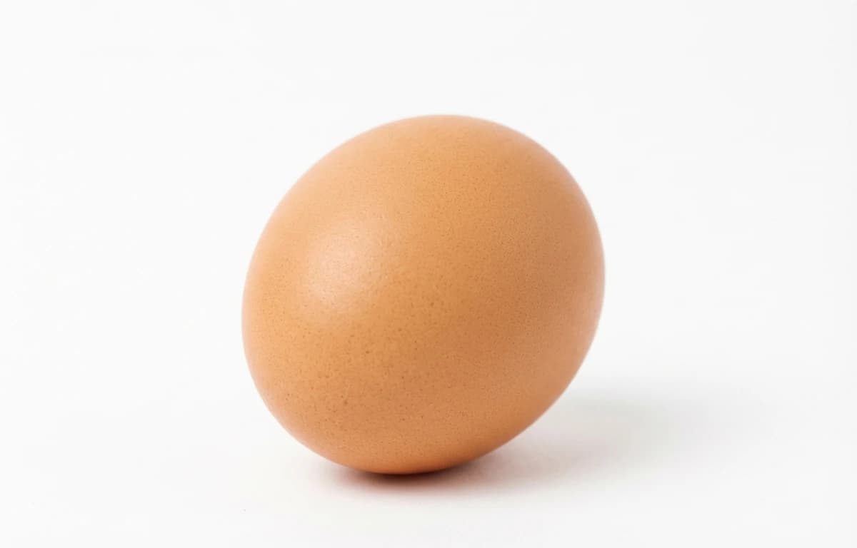 raw fresh egg