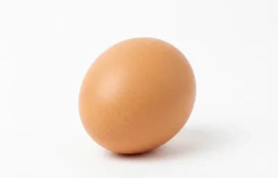 raw fresh egg