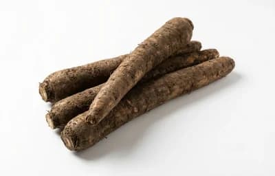 raw salsify