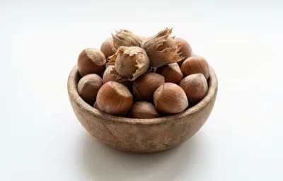 beaked hazelnut
