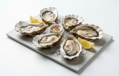 fresh oysters
