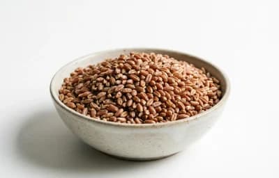 hard red spring wheat