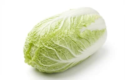 napa cabbage