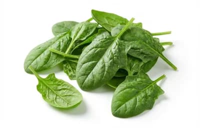 fresh spinach