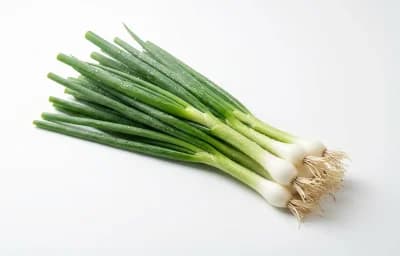 scallion