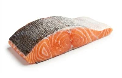salmon