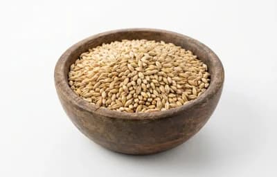 carapils malt