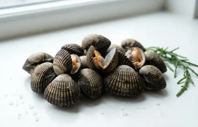 raw cockles