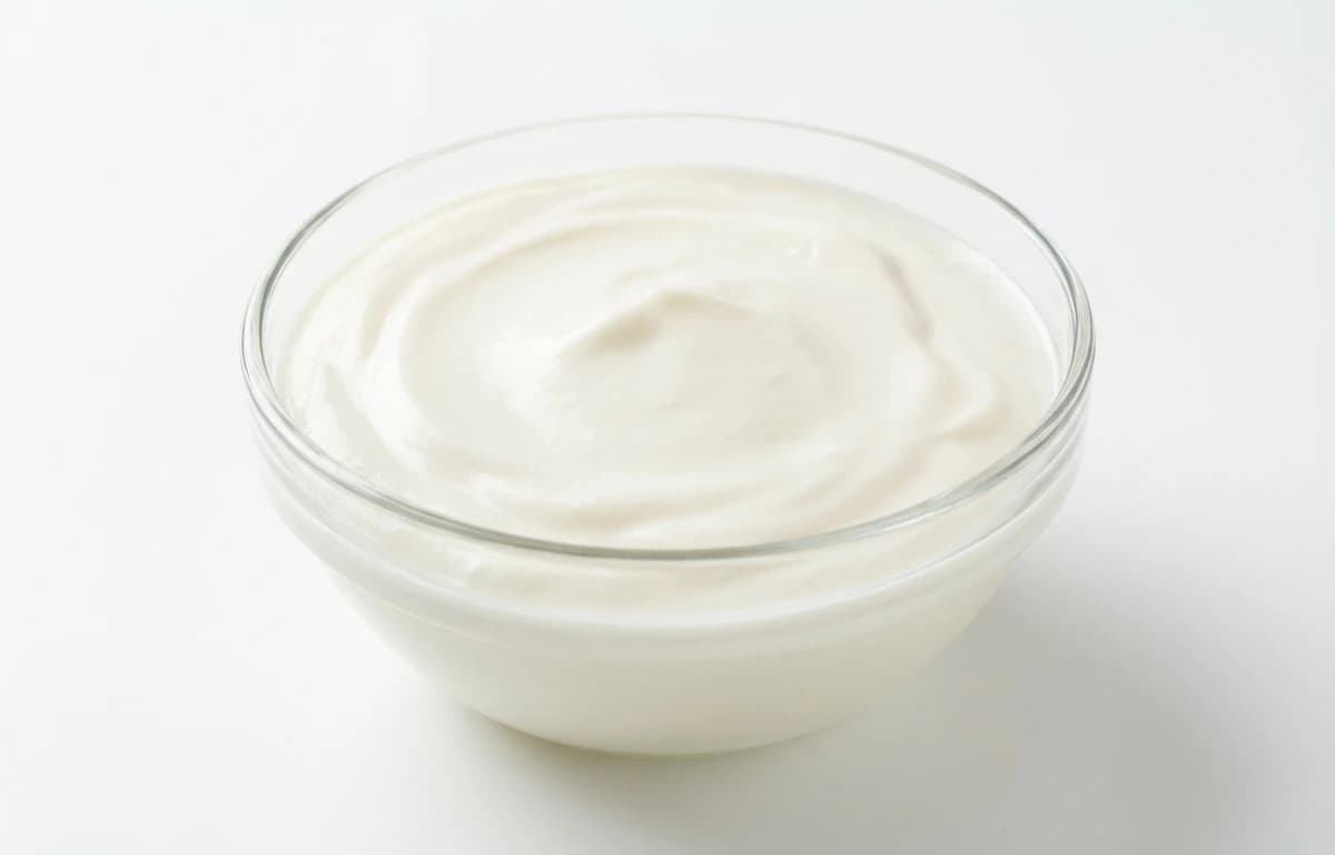 lowfat plain greek yogurt