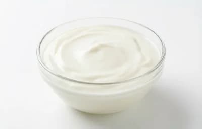lowfat plain greek yogurt