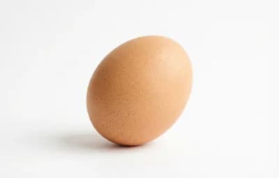 raw whole poultry egg