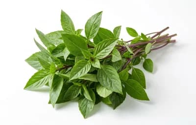 Thai Basil