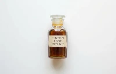 Gentian Root Extract