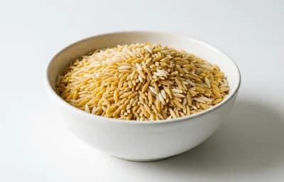 orzo