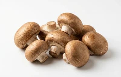 raw crimini mushroom