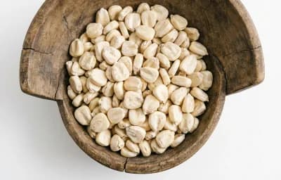 dried giant white corn