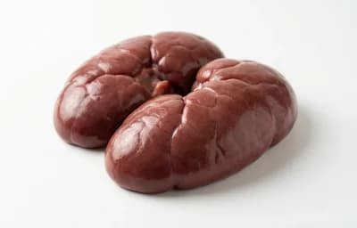 raw beef kidneys