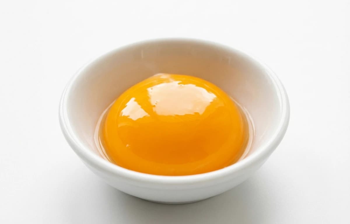 large egg yolk