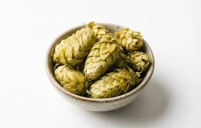 cascade hops