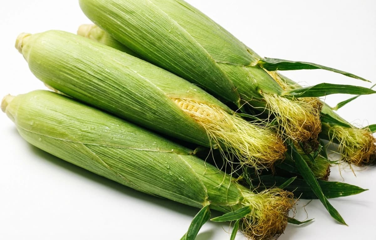 Sweet Corn Cobs