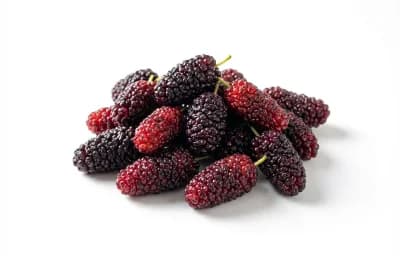 raw mulberry