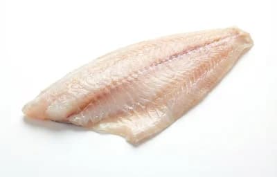 sole fish