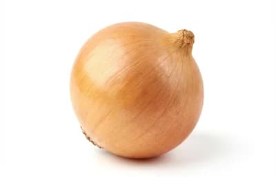 Large Onion