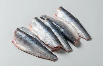 raw pacific herring