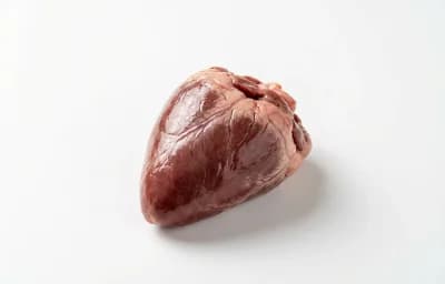 raw turkey heart