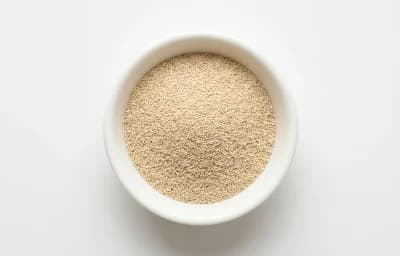 american lager yeast