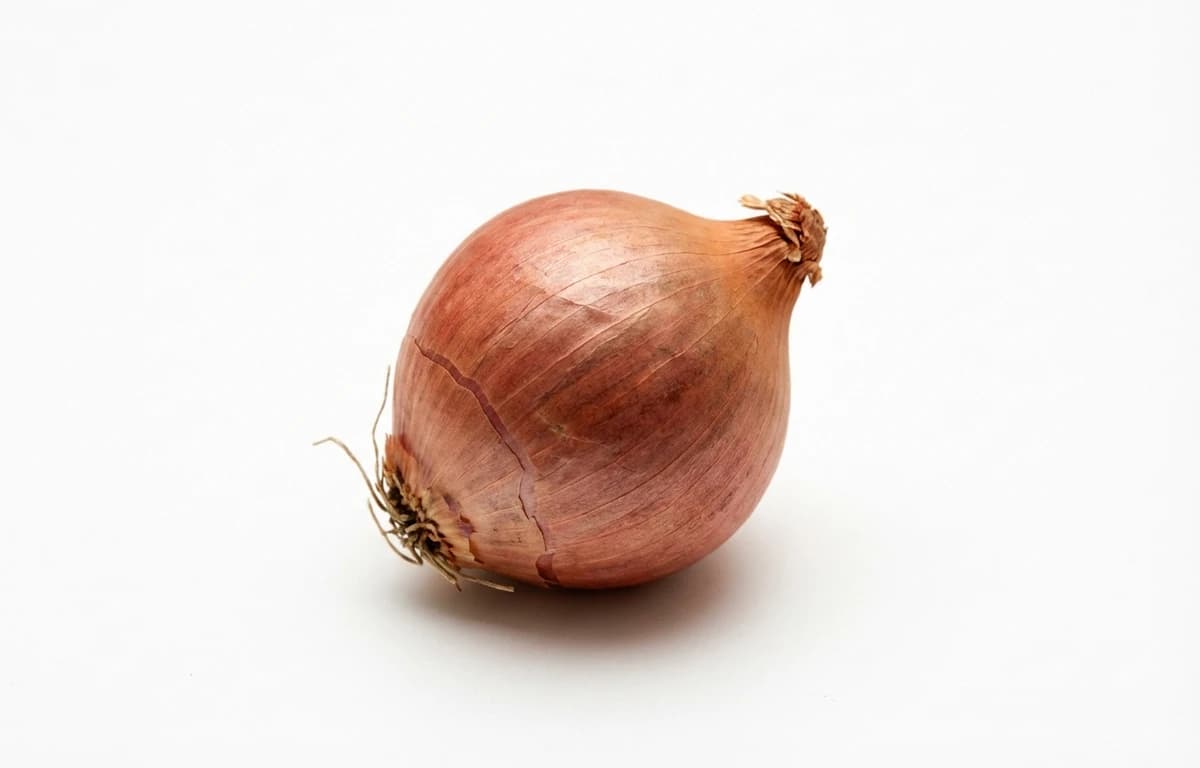 Small Shallot