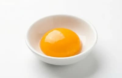 egg yolk