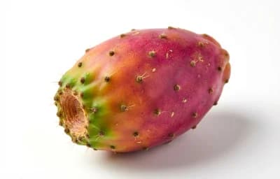 raw prickly pear