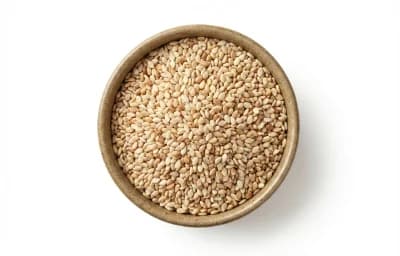 Sesame Seed