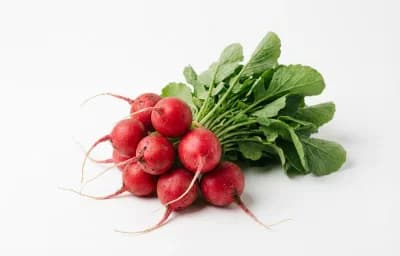 radishes
