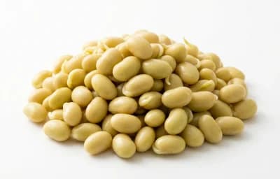 steamed cooked sprouted soybean