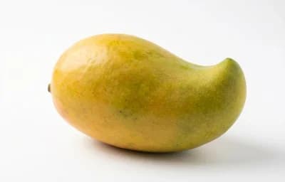 ripe totapari mango