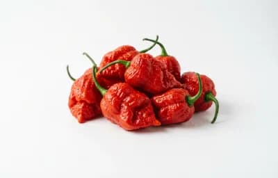 Bhut Jolokia Peppers