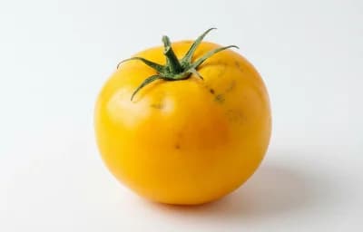 raw yellow tomato