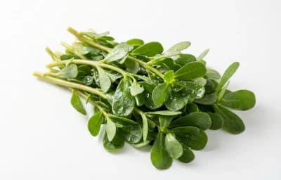 boiled salted purslane