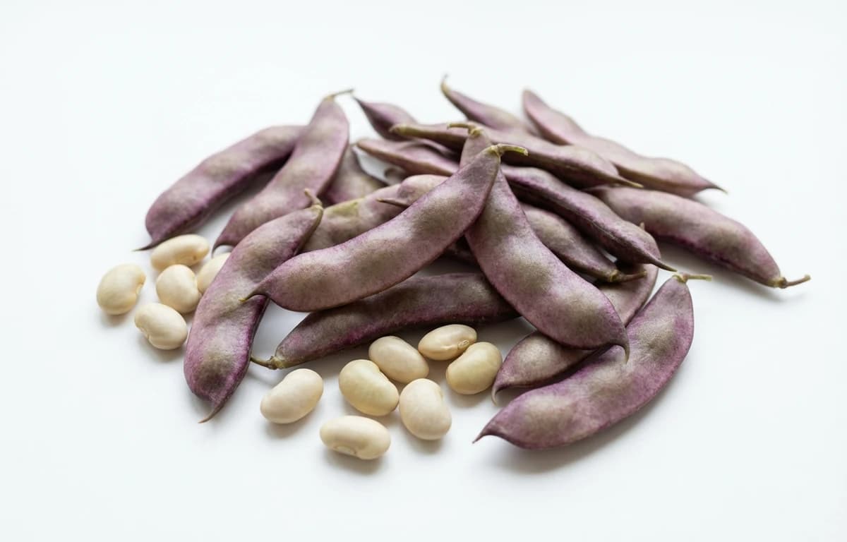 raw hyacinth beans