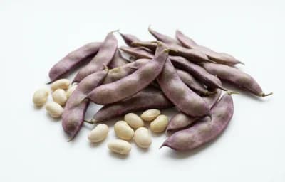 raw hyacinth beans