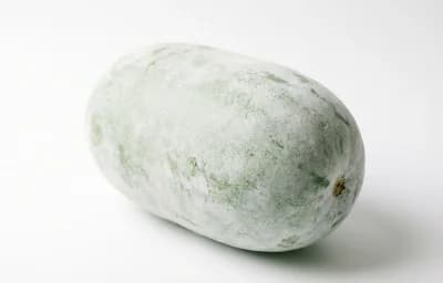 raw waxgourd